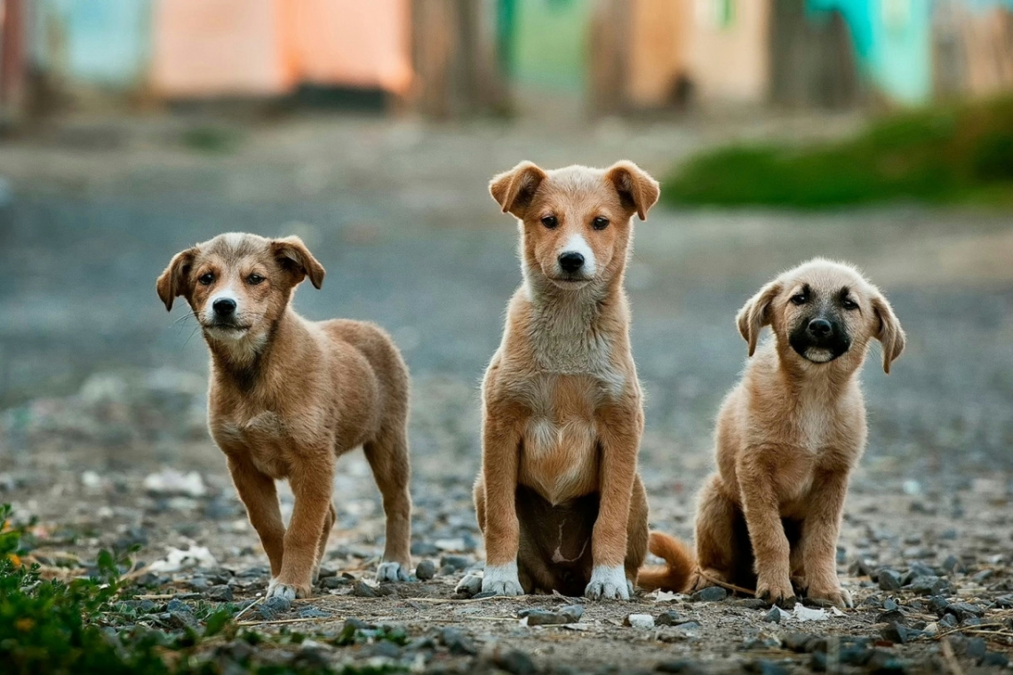 https://www.in.gr/wp-content/uploads/2025/02/anoir-chafik-2_3c4dIFYFU-unsplash-620x350.jpg