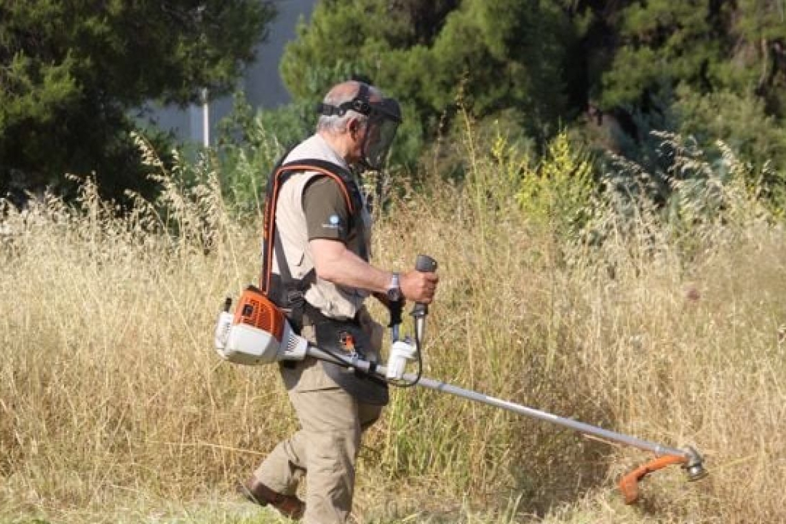 Παράταση για δηλώσεις ακαθάριστων οικοπέδων: Η διαδικασία ηλεκτρονικής υποβολής
