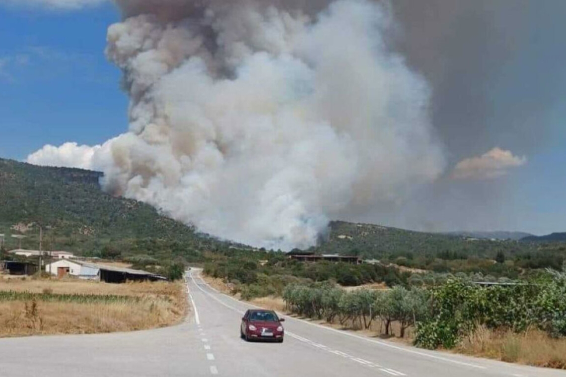 Μεγάλη φωτιά στη Ζάκυνθο: Εναέρια μέσα στη μάχη
