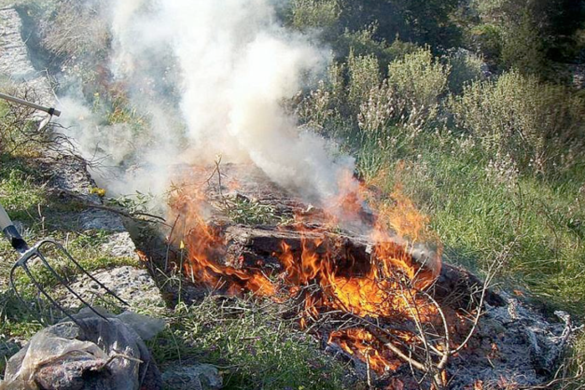 Βαρύ πρόστιμο σε νεαρό για καύση ξερών χόρτων Θεσσαλονίκη