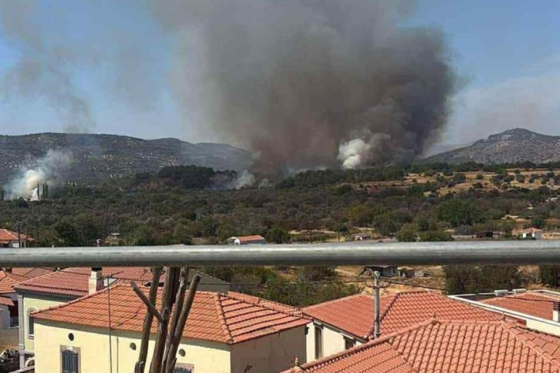 Σύλληψη 20χρονου στη Βρίσα Λέσβου για εμπρησμό δάσους