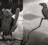 Η λίμνη που 