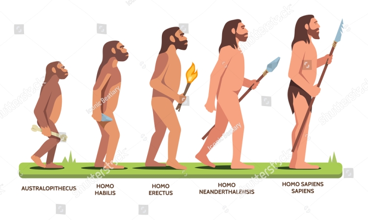 Homo habilis: Οι ρίζες της ανθρώπινης συντροφικότητας 