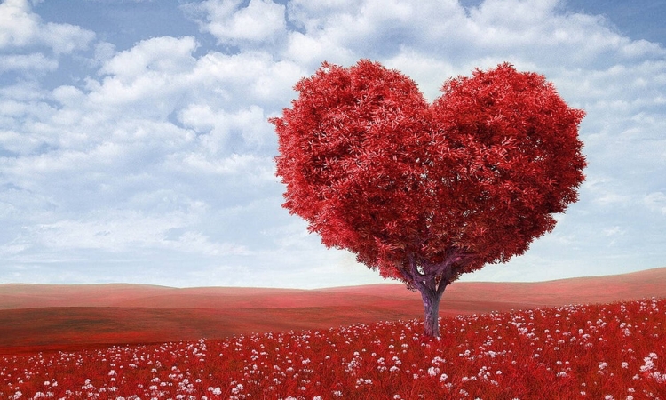 Ο ρομαντισμός του Αγίου Βαλεντίνου μέσα από τον κινηματογράφο