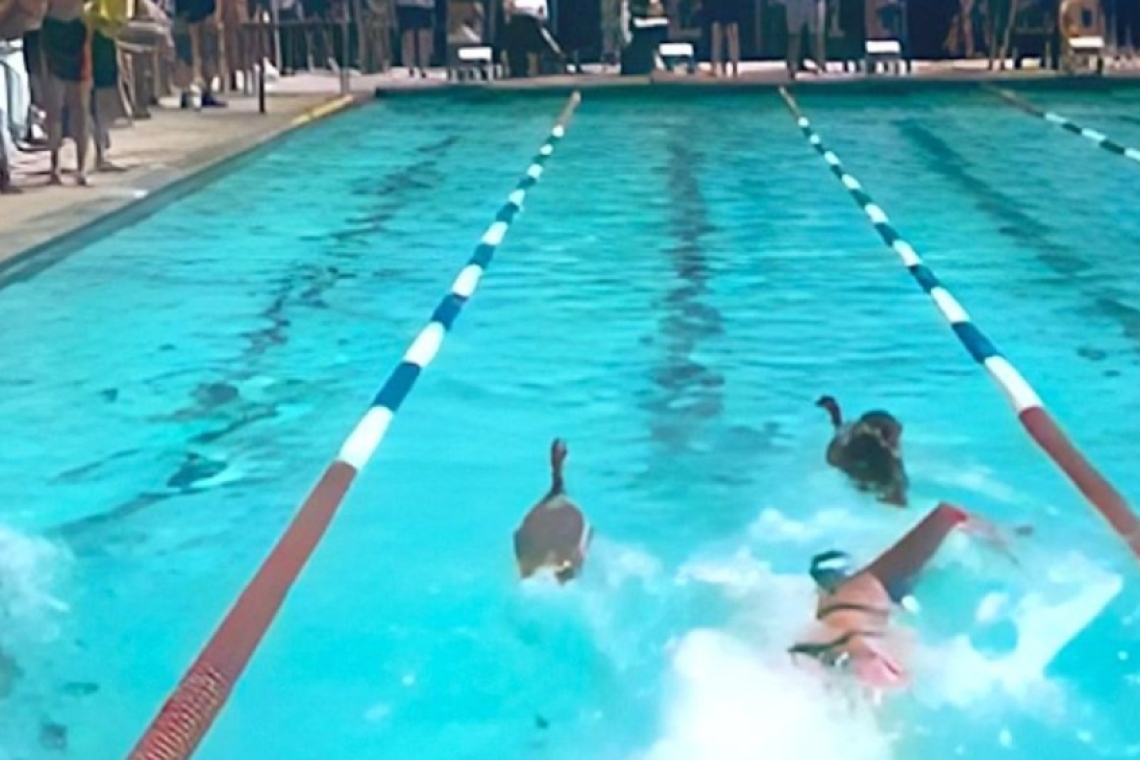 https://www.newsit.gr/wp-content/uploads/2026/02/geese-1200x630.png