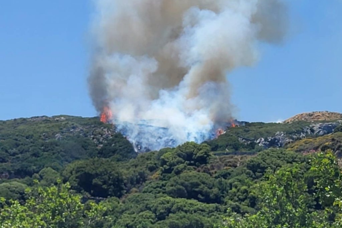 Φωτιά στην ορεινή Νάξο: Άμεση επέμβαση της πυροσβεστικής υπηρεσίας